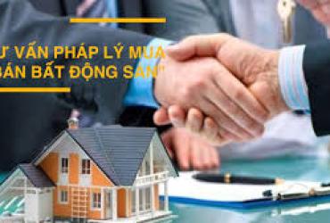 Dịch vụ pháp lý về Bất động sản