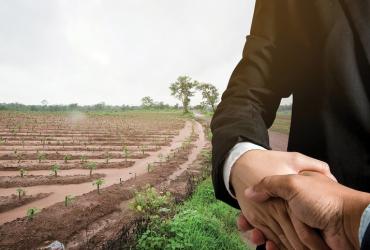 Chuyển Đổi Mục Đích Sử Dụng Đất: Thủ Tục Và Hồ Sơ